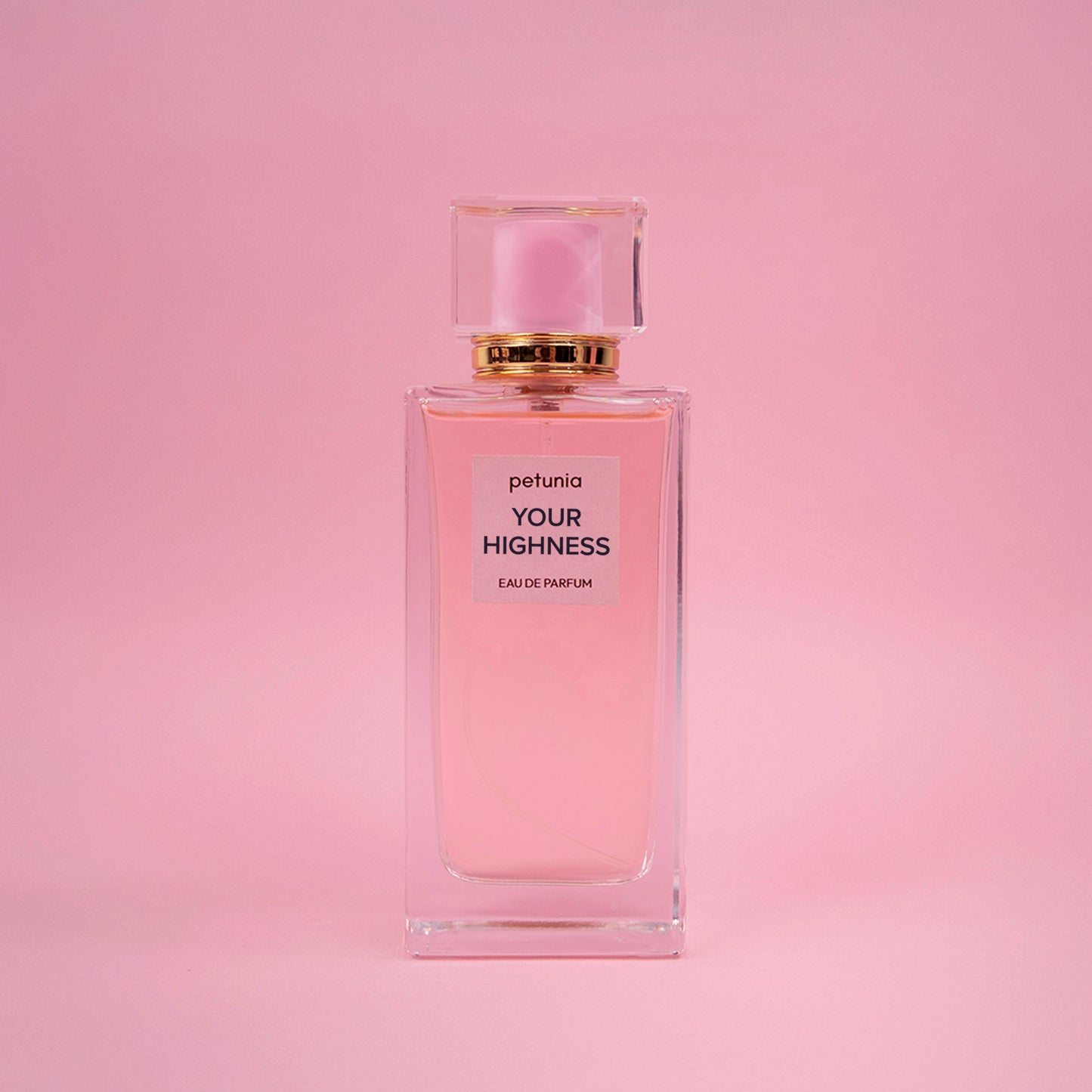 Your Highness - Impression of VS Bombshell